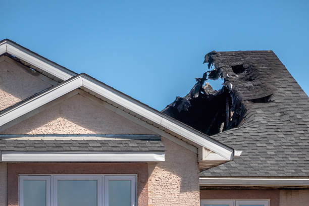 Top rated local Soot Cleanup specialists in Princeton, FL
